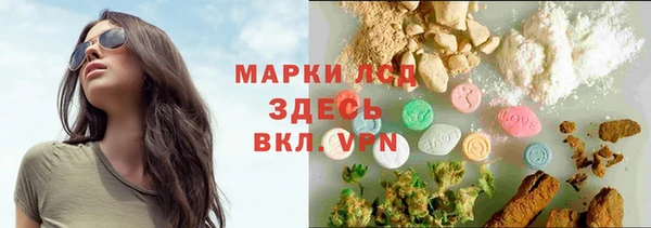 дмт Алзамай