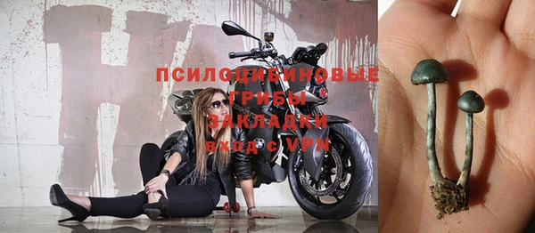 дмт Алзамай