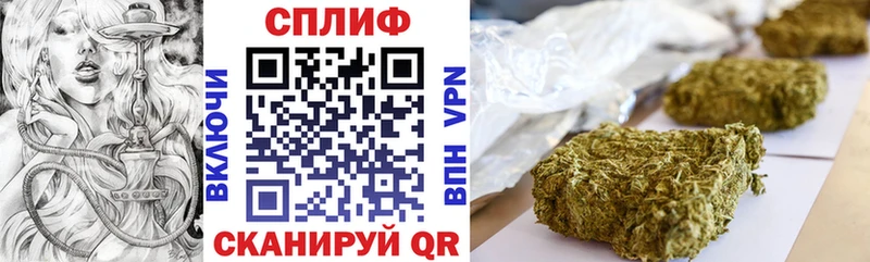 блэк спрут tor  Сясьстрой  Конопля тримм 